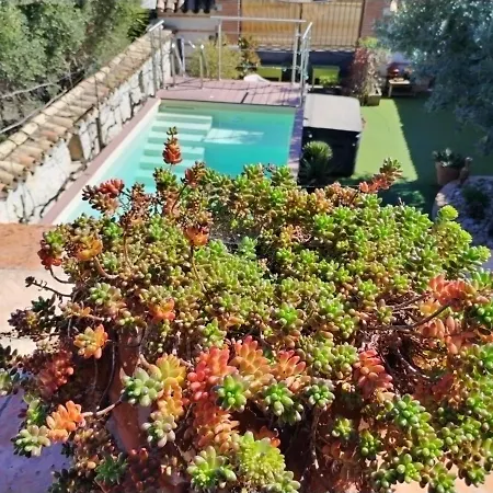 Artemia Maison Vigneronne A Bed & Breakfast