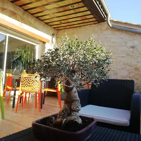 Artemia Maison Vigneronne A