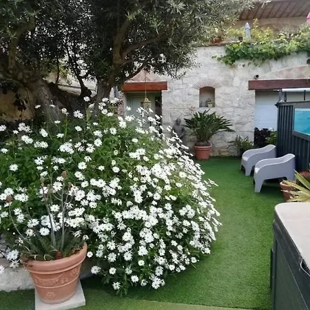 Artemia Maison Vigneronne - D Hotes-b&b-piscine