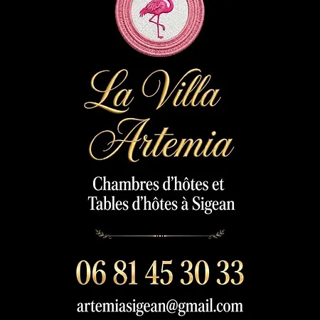 فندق مبيت وإفطار Artemia - D Hotes Labellisee Massages-piscine-climatisation سيجيان